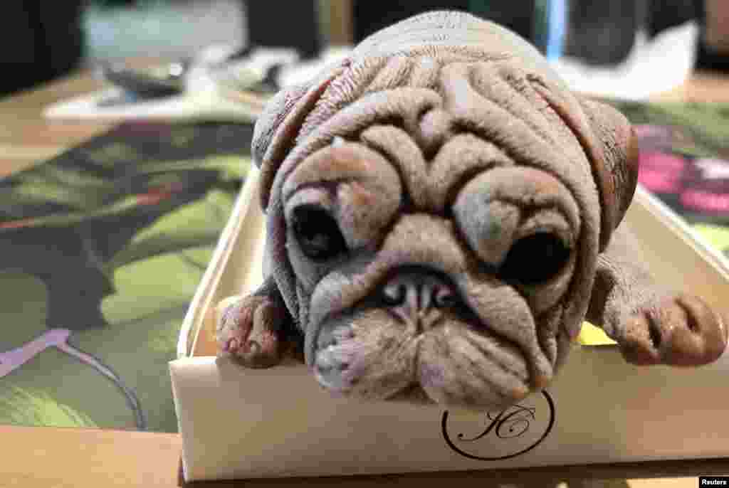 A puppy-shaped ice cream is seen in a restaurant in Kaohsiung, Taiwan, Aug. 18, 2018.