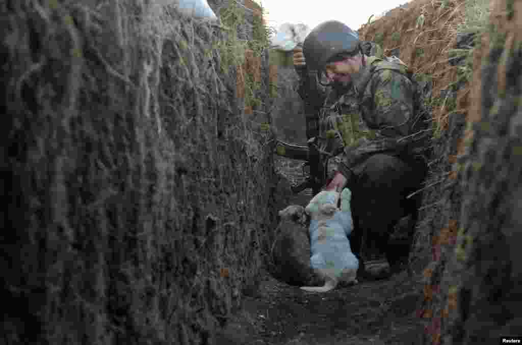 Volodymyr, a service member of the Ukrainian armed forces, plays with puppies at fighting positions on the line of separation from pro-Russian rebels in Donetsk region, Ukraine. April 10, 2021.