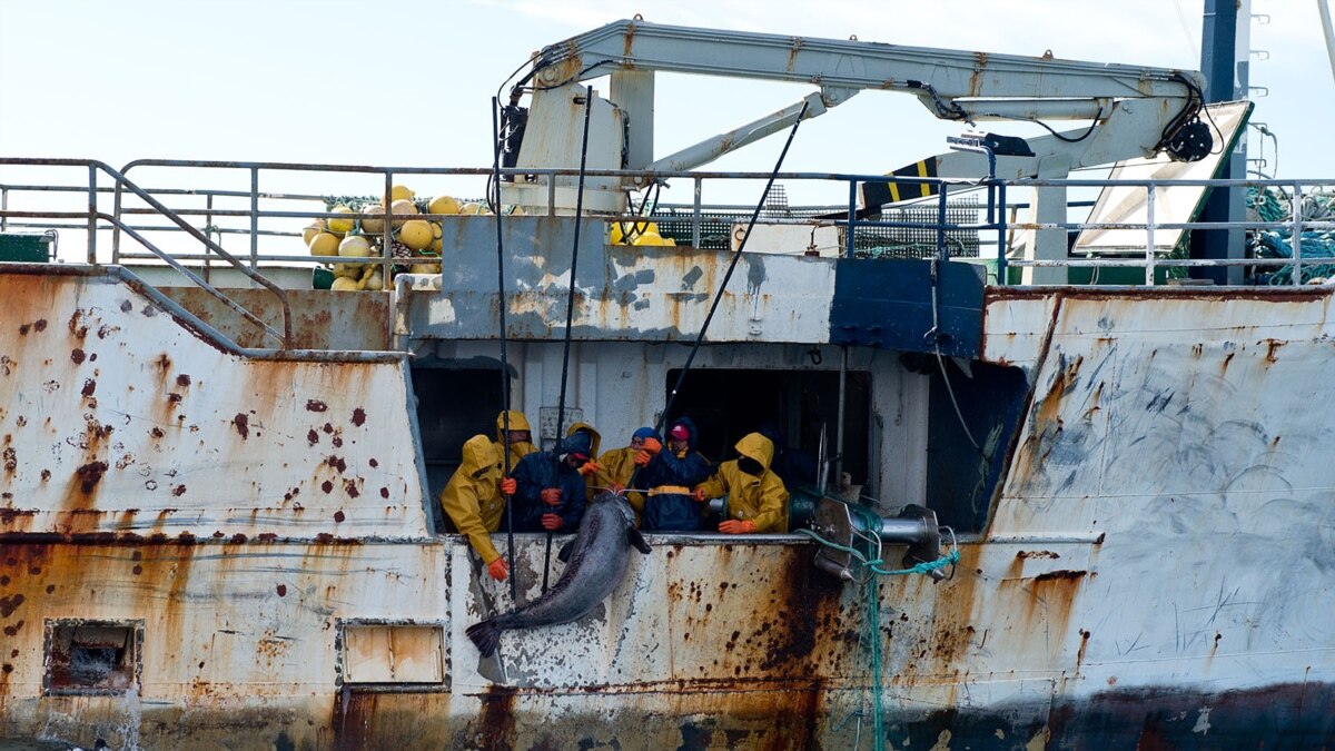 notorious-poaching-ship-detained-in-thailand