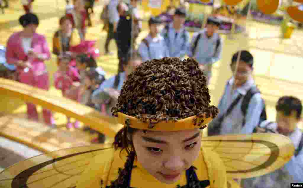 Seorang perempuan mengenakan topi yang dikerumuni lebah pada sebuah pameran mengenai pemeliharaan lebah di Karnaval Pertanian Beijing. Acara tahunan ini mempamerkan produk-produk agrikultura dan berlangsung selama sebulan.