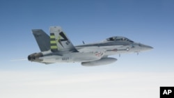 A US Navy jet assigned to the Air Test and Evaluation Squadron 23 tests a 50/50 mixture of Camellia seed-based biofuel blend over the skies of Southern Maryland on Earth Day 2010.