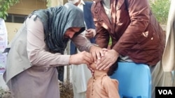 지난 8일 아프가니스탄 낭가하르에서 소아마비 백신 접종이 진행됐다.