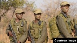 Zimbabwe Female Anti Poachers ZIWA