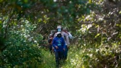 Jorge Alfredo Herrera, a researcher at the Center for Research and Advanced Studies of the Mexican Polytechnic Institute in Yucatan, walks through the Dzilam de Bravo reserve, in Mexico’s Yucatan Peninsula, Oct. 8, 2021.