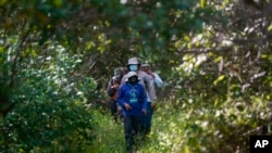 Jorge Alfredo Herrera, a researcher at the Center for Research and Advanced Studies of the Mexican Polytechnic Institute in Yucatan, walks through the Dzilam de Bravo reserve, in Mexico’s Yucatan Peninsula, Oct. 8, 2021.