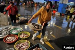FILE - A vendor carries a basket of fresh fish at a seafood market in Quanzhou, Fujian province, China, Dec. 9, 2013.