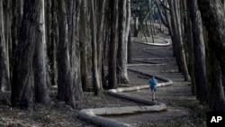 Tim Green, of Sidney, Australia., jogs on top of the sculpture Wood Line by artist Andy Goldsworthy along an eucalyptus grove in The Presidio on Tuesday, Jan. 7, 2014, in San Francisco. (AP Photo/Marcio Jose Sanchez)