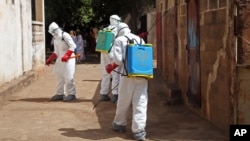 FILE - Health workers spray disinfectant around a mosque in Bamako, Mali, Nov. 14, 2014