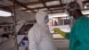 WHO: Ebola Deaths, Infections on the Rise 