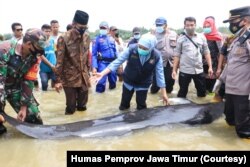 Gubernur Jawa Timur, Khofifah Indar Parawansa, turut memantau proses penyelamatan paus pilot yang terdampar di perairan Bangkalan. (Foto: Courtesy/Humas Pemprov Jawa Timur).