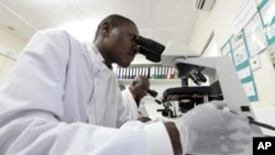 Kenya Medical Research Institute doctors research malaria at the clinical research facility laboratory in the Kenya coastal town of Kilifi, November 23, 2010