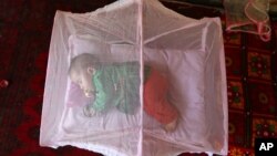 FILE - An Afghan girl sleeps beneath a mosquito net at her home in Kabul, Afghanistan, July 21, 2016.