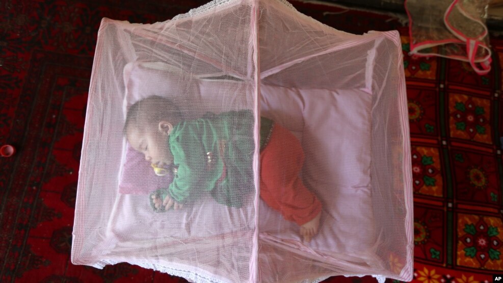 FILE - An Afghan girl sleeps beneath a mosquito net at her home in Kabul, Afghanistan, to prevent malaria, July 21, 2016.