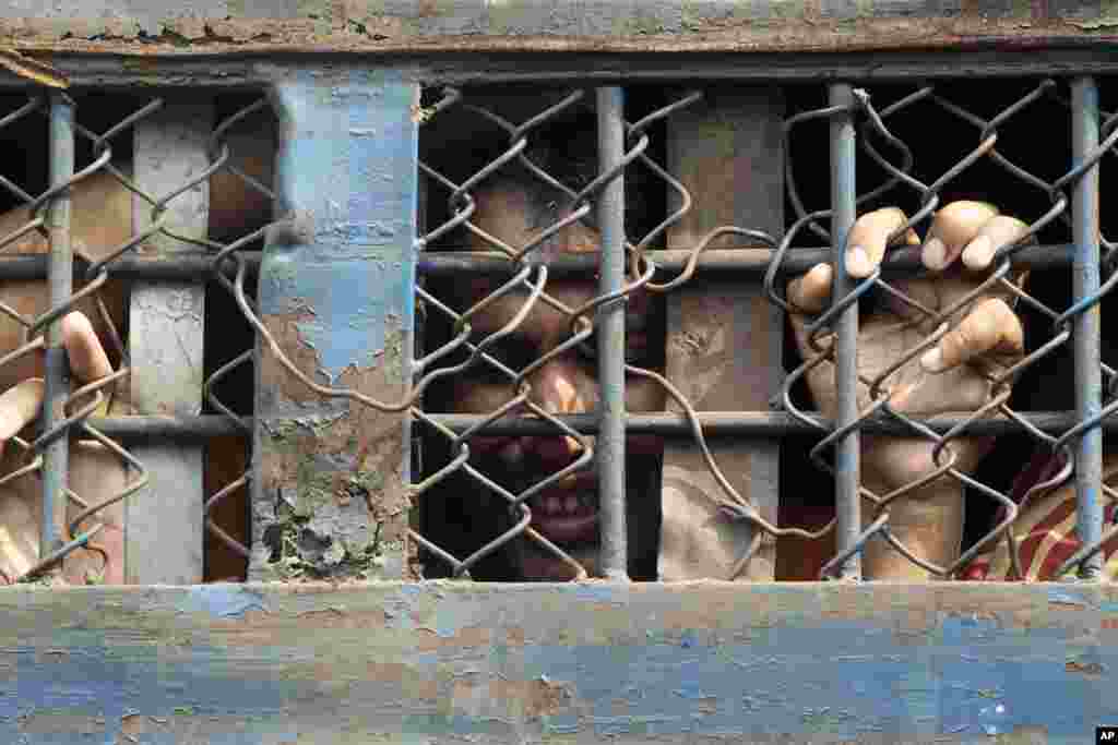 A border guard cries inside a prison van as he leaves a special court after a verdict in Dhaka, Nov. 5, 2013.