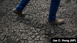 Cela fait trois ans que la sècheresse sévit en Californie (AP)