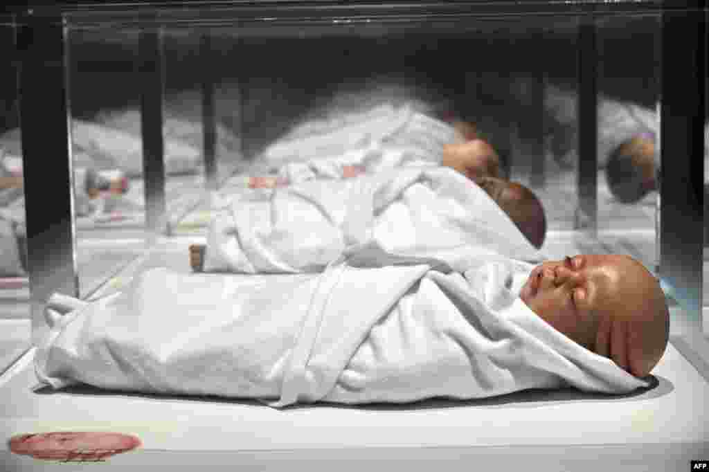 An art installation by Agatha Haines, titled "Transfiguration," is displayed at the Art Science museum in Singapore. The exhibits, involving artificial intelligence, life-like robots and genetic modification, are part of HUMAN+, a collection of futuristic works from more than 40 international artists, scientists, technologists and designers.