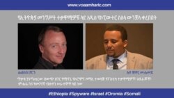 የኢትዮጵያ መንግሥት ተቃዋሚዎቹ ላይ አዲስ የኮፒውተር ሥለላ ውንጀላ ቀረበበት