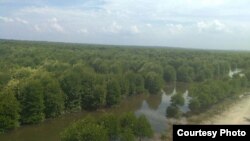 Kawasan hutan bakau atau mangrove di Desa Lubuk Kertang, Kecamatan Brandan Barat, Kabupaten Langkat, Sumatera Utara. (Courtesy: KLHK)