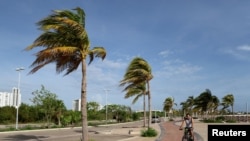 A man rides his bicycle while palm trees sway in the wind as Hurricane Zeta approaches, in Cancun, Mexico October 26, 2020. REUTERS/Jorge Delgado