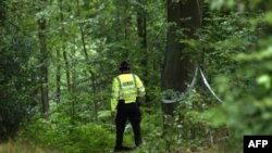 Вандалы уничтожили знаменитое на всю Великобританию терновое дерево