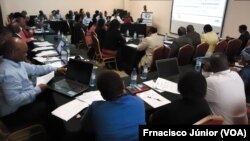 Reunião do Grupo de coordenação fronteira Moçambique-RSA