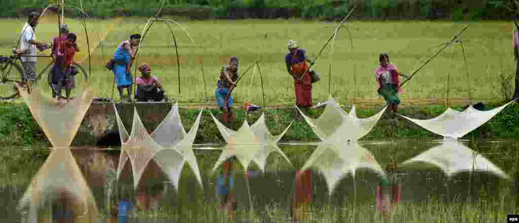Penduduk desa di India menangkap ikan di distrik Goalpara, negara bagian Assam, India.