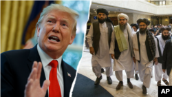 Presiden Donald Trump membela keputusannya membatalkan pertemuan rahasia dengan Taliban. ((Foto: ilustrasi)