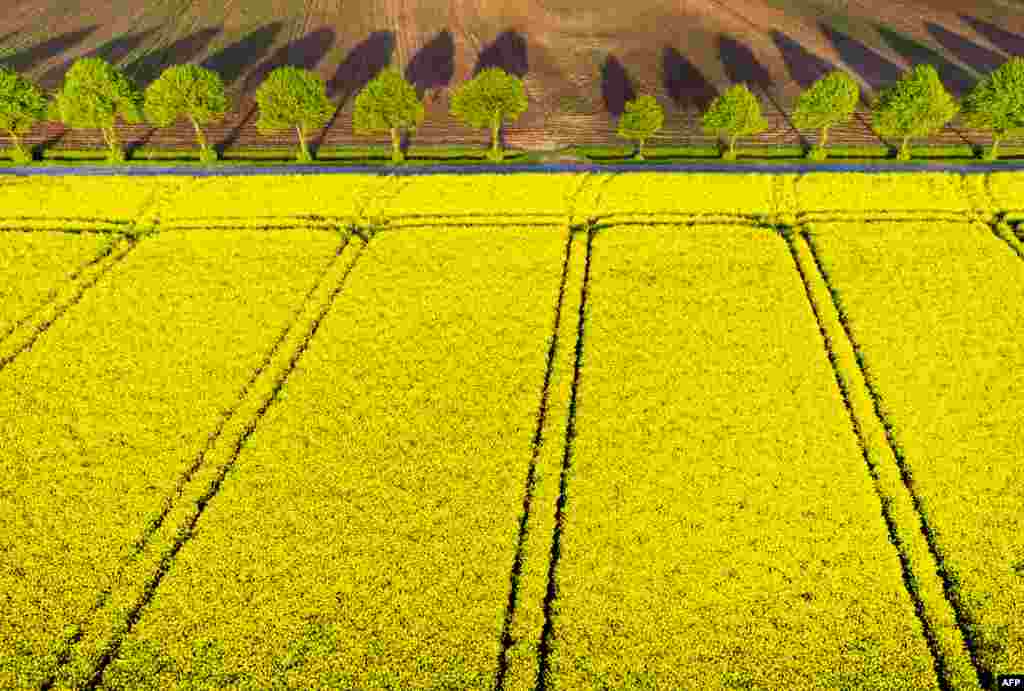 This aerial picture taken with a drone shows a rape field blooming on the Lower Rhine in Sonsbeck, western Germany, April 23, 2018.