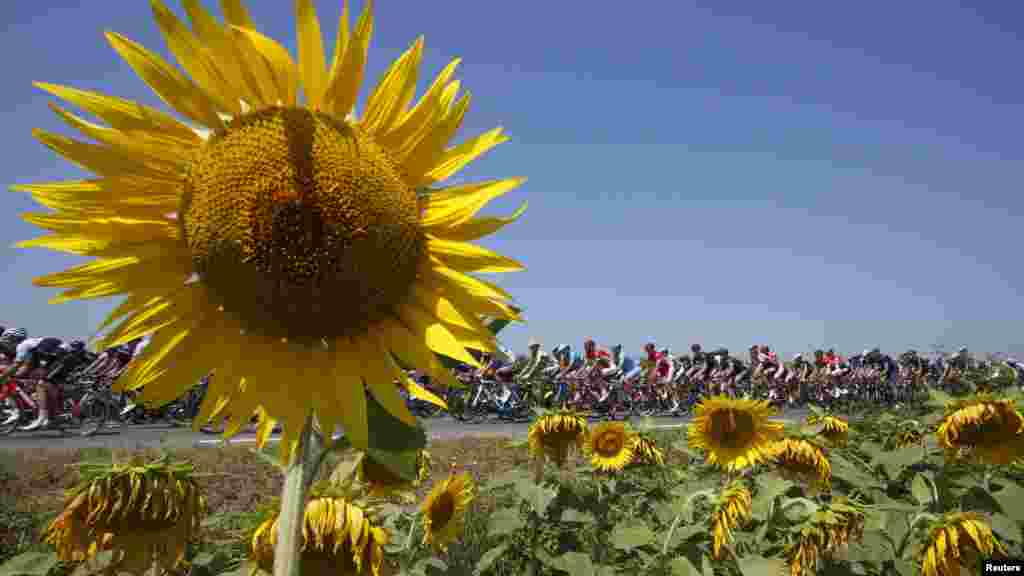 Riders cycle during the 188-km (116.8 miles) 11th stage of the 102nd Tour de France cycling race from Pau to Cauterets in the French Pyrenees mountains.