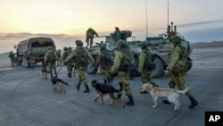 This undated handout photo released by the Russian Defense Ministry claims to show Russian Military engineers with sniffing dogs walking toward their APCs to operate in Aleppo, Syria.