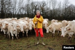 Emilie Jeannin, 37, a cow breeder, poses for a photograph with her Charolais cows in Beurizot, France, Feb. 21, 2017.