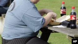 FILE - An overweight man eats his lunch on a park bench. Obesity has become a growing problem worldwide. 