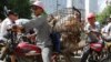 Animal Rights Activists Target China Dog Meat Festival