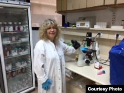 Microbiologist Rina Rosin-Arbesfeld in her lab in the medical school at Tel Aviv University researches a possible ancestral link to colorectal cancer. (Photo courtesy of Tel Aviv University)