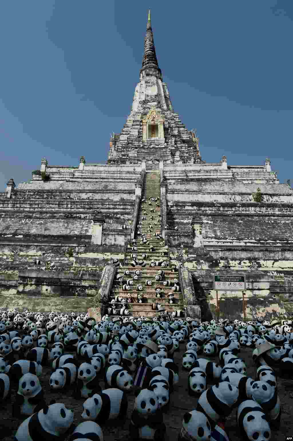 តុក្កតា​ខ្លាឃ្មុំ​ផេនដាធ្វើ​ឡើង​ពី​ក្រដាស​បង្កើត​ឡើង​ដោយ​សិល្បករ​ជនជាតិ​បារាំង​លោក​ Paulo Grangeon ត្រូវ​បាន​ដាក់​បង្ហាញ​នៅ​ប្រាសាទ The Golden Mount នៅ​ក្រុង​អាយុធ្យា ប្រទេសថៃ។ ព្រឹត្តការណ៍​ដែល​មាន​ការ​ដាក់​បង្ហាញ​តុក្កតា​ខ្លាឃ្មុំ​ផេនដា​នៅ​តាម​ទីក្រុង​នានានៅ​ជុំវិញ​ពិភពលោក​ ដោយ​មាន​ការ​សហការ​ជាមួយ​នឹង​អង្គការ WWF មាន​គោលដៅ​នៅ​ក្នុង​ការ​លើកកម្ពស់​ការ​យល់ដឹង​ពី​ប្រភេទ​សត្វ​ ដែល​ជិត​ផុត​ពូជ។&nbsp;