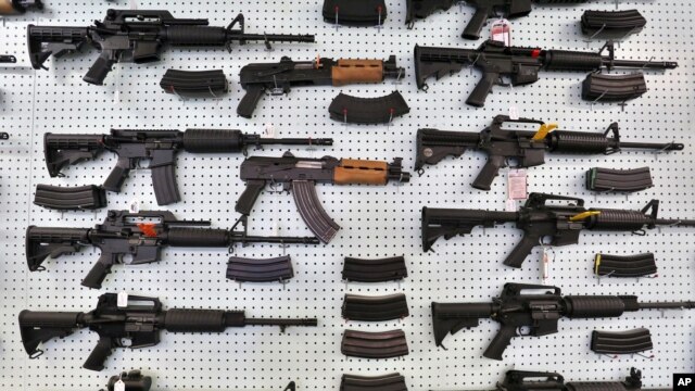Senadores demócratas quieren mejorar el chequeo de antecedentes a los compradores de armas de fuego en ferias de exhibición.