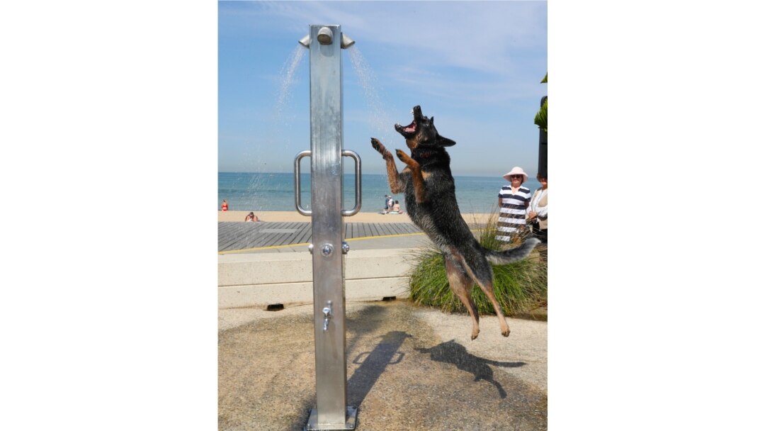 Seekor anjing mendinginkan badannya di bawah pancuran di pantai St Kilda saat gelombang panas menyapu Victoria, Australia, 18 Desember 2019.