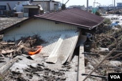 The quake and resulting tsunami waves killed an estimated 18,000 people and triggered the meltdowns of three nuclear reactors in Fukushima, Japan. (S. Herman/VOA)