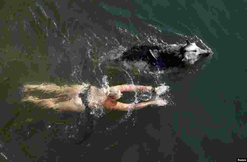 A woman swims with a dog in the waters of the Yenisei River in the Siberian Taiga area outside Krasnoyarsk, Russia, Aug. 31, 2015.