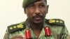 Sudan Armed Forces Claim Control of Most of Blue Nile State