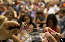 FILE - A researcher demonstrates how to extract venom from a snake to vacationing school children during a presentation at the Butantan Institute in Sao Paulo, Brazil, Jan. 23, 2015.