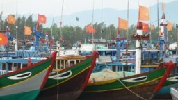 Tàu đánh các của ngư dân Việt Nam ở đảo Lý Sơn, Quảng Ngãi. Theo các chuyên gia, Việt Nam đang tăng cường lực lượng đánh bắt cá tự vệ trên biển để bảo vệ chủ quyền trước Trung Quốc.