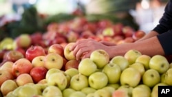Apples are among the many crops that growers treat with chlorpyrifos, a pesticide the Environmental Protection Agency wants to ban.