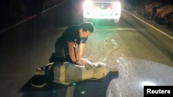 A rescue worker performs CPR on a baby elephant after a motorcycle crash in Chanthaburi province, Thailand, December 20, 2020. Picture taken December 20, 2020. KUNCHAYLEK/Handout via REUTERS