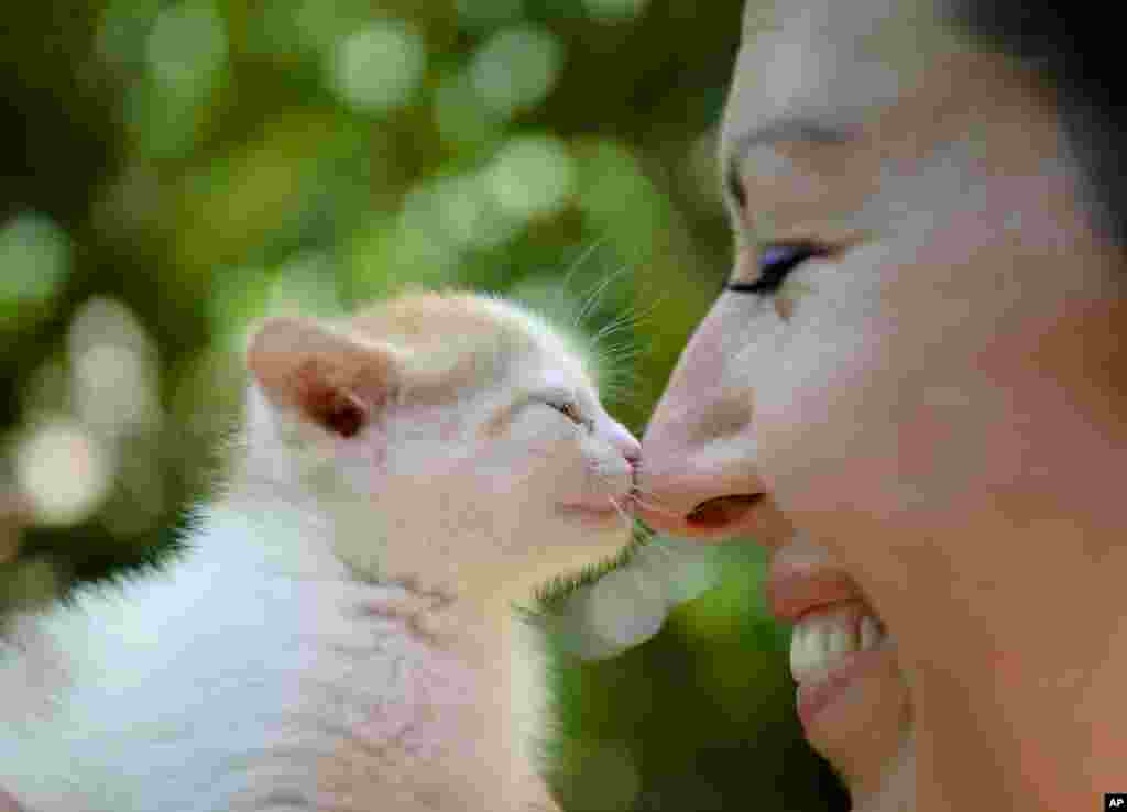 Seorang perempuan mencium kucing dalam kampanye mengadopsi kucing jalanan di Bucharest, Rumania.