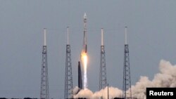 Maven-6