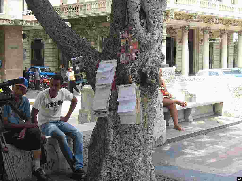 Quảng cáo bán nhà treo trên cây ở La Habana. 29-3-12 (VOA – Socolovsky) 
