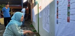 Seorang pemilih memeriksa daftar legislatif yang dipasang di sebuah TPS di Sleman, DIY dalam Pemilu 2019. (Foto: VOA/ Nurhadi)