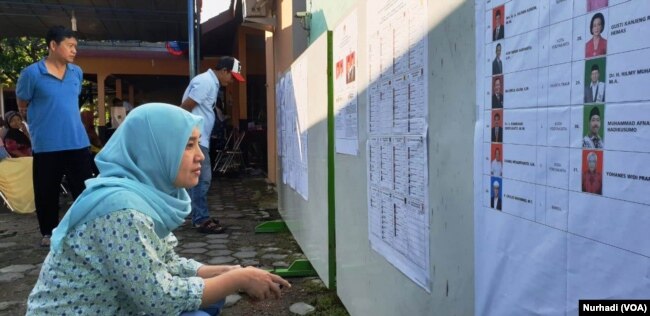 Seorang pemilih memeriksa daftar legislatif yang dipasang di sebuah TPS di Sleman, DIY dalam Pemilu 2019. (Foto: VOA/ Nurhadi)