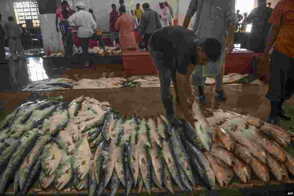ماہی گیر سمندر سے شکار کے بعد بڑی مچھلیاں مارکیٹ میں ترتیب سے رکھ دیتے ہیں۔